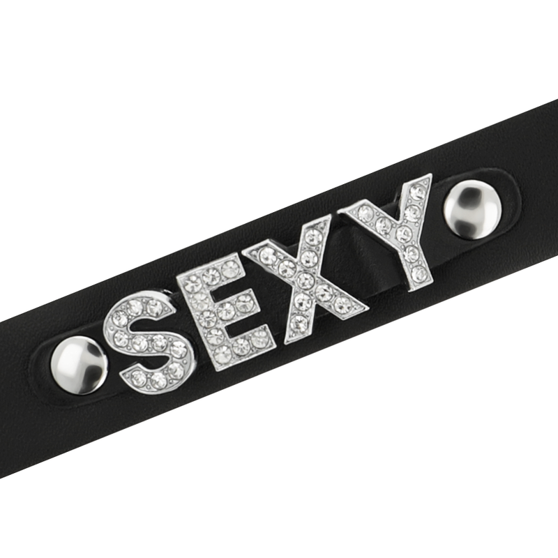 COQUETTE CHIC DESIRE - SEXY VEGAN LEATHER COLLAR