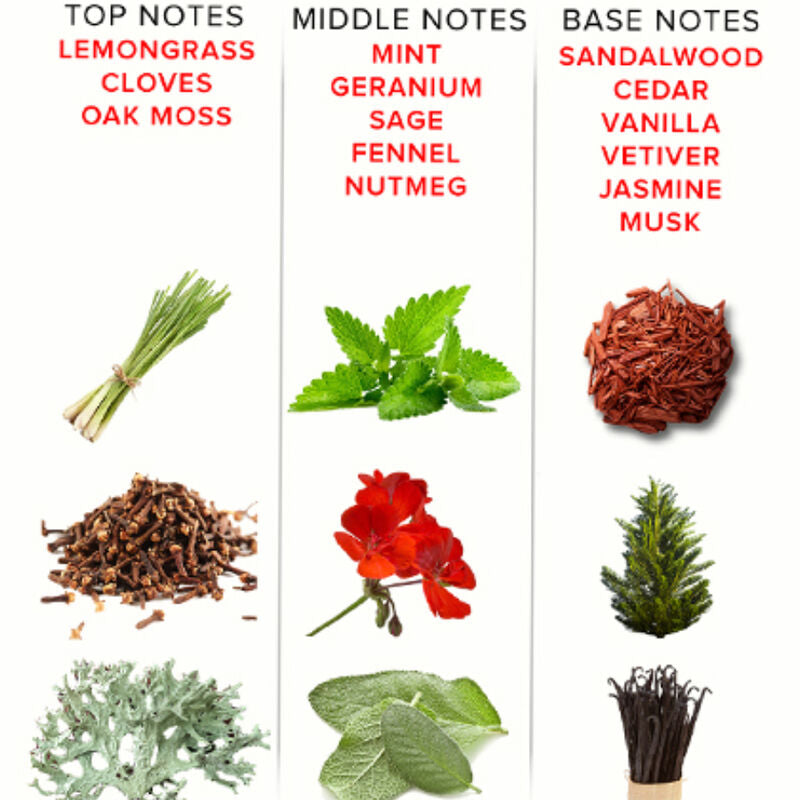 EYE OF LOVE - EOL PHEROMONE PERFUME 10 ML - ROMANTIC