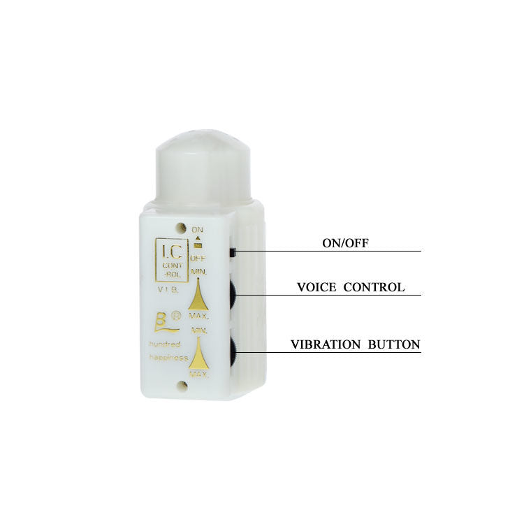 BAILE - MR. BIG REALISTIC PENIS AND ANUS MASTURBATOR