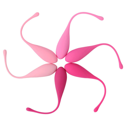 LESLIE - KEGEL FIT PELVIC MUSCLE TRAINING SET 6 PIECES