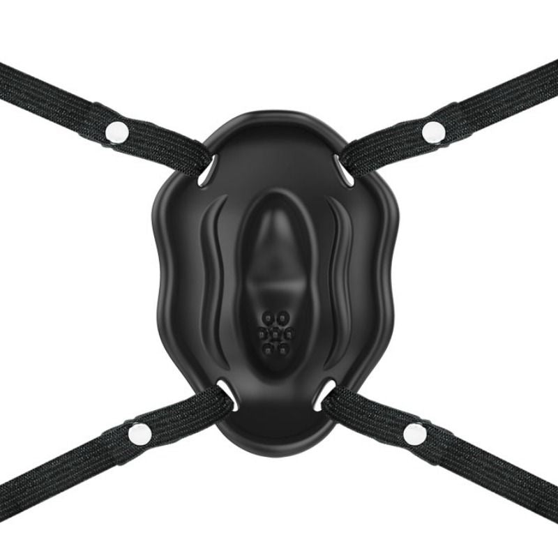 PRETTY LOVE - STRAP-ON WITH CARTER VIBRANT BULLET